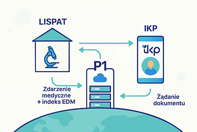 Ilustracja modułu P1 / IKP